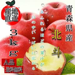 青森県産 北斗 りんご【A品3kg】【送料無料】【農家直送】リンゴ