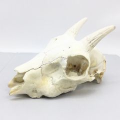 H7nqBFq5jnBDGZd7xwdHUJ.jpg@jpg