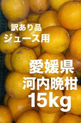 訳あり品　愛媛県産　家庭用　宇和ゴールド　河内晩柑　柑橘　ジュース用　15kg