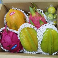 沖縄　果物　旬のフルーツ　ギフト用オススメ
