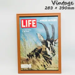 ビンテージ 広告　ポスター　『 ライフ 雑誌 表紙 　(Life) 』 1960's　額付　※当時物　オリジナル 輸入雑貨　ヴィンテージ　レトロ　( AZ2301 )