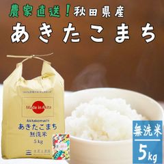 あきたこまち 無洗米 5kg 米 お米 5キロ 秋田県産 令和6年産 農家直送 古代米お試し袋付き