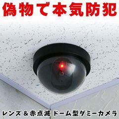 ダミー カメラ ドーム型 防犯カメラ フェイク 監視カメラ 点滅LED 電池式 本物そっくり 屋内 屋外 対応 玄関 倉庫 車庫 ベランダ 店舗 アパート 防犯対策