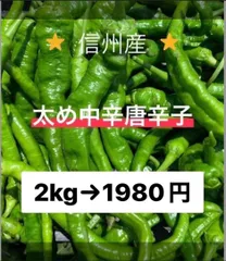 激辛青唐辛子　10kg 　長野県産 信州 産地直送 激辛 青唐辛子 10kg 長野県産 信州 産地直送 野菜