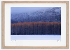 アートフォト 絵画 カラマツ林3 高橋真澄/インテリア 額入り 額装込 風景画 油絵 ポスター アート アートパネル リビング 玄関 プレゼント モダン アートフレーム 飾る Mサイズ おしゃれ 壁掛け 絵