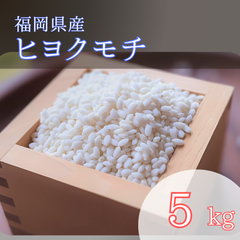 ヒヨクモチ 5kg 白米 もち米 6年産