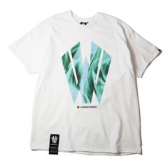 Flame logo SSPT