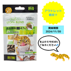 【大特価】GEX レオパブレンドフード 60g 賞味期限2024/11/30 フードロス削減にご協力ください！