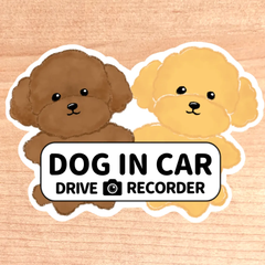 ドッグインカー.ドライブレコーダー【トイプードル2匹】マグネットタイプ/シールタイプ/吸盤タイプ