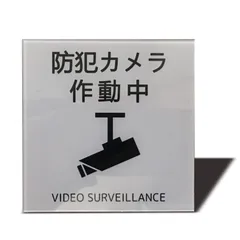 【数量限定】おしゃれ 2㎜アクリル製 ステッカー 耐水 両面テープ付き 耐候 作動中（イラスト型）サインプレート (グレー 防犯カメラ 80×80㎜（1枚）) Seagron