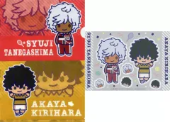 【中古】クリアファイル 種ヶ島修二＆切原赤也 A4クリアファイル＆ステッカーセット 「セガ ラッキーくじ 新テニスの王子様」 F賞