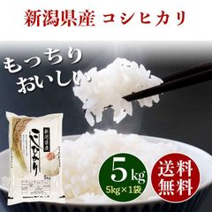 新潟県産 コシヒカリ 白米 5kg お米 5キロ 新米