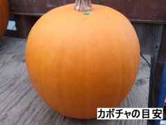 【kuraraさん専用】ハロウィン用かぼちゃ２ｋｇ2個