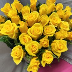 バラ A級フォルトゥナ 40センチ30本切り花生花