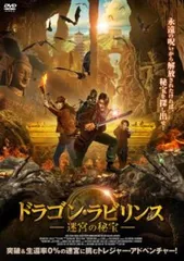 ドラゴン・ラビリンス 迷宮の秘宝【洋画 中古 DVD】レンタル落ち