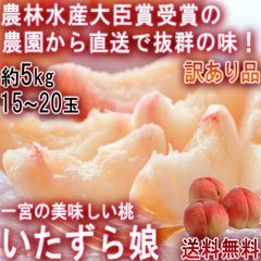 【1～3週間出荷予定】産地直送 いたずら娘 訳あり桃 約5kg 15～20玉 山梨県産 家庭用 笛吹市一宮 農林水産大臣賞受賞の農園で育てた抜群の味！旬の品種をお届け