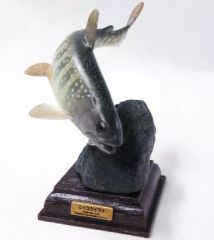 日本の清流コレクション ネイチャーテクニカラー ヤマメ アマゴ - メルカリ