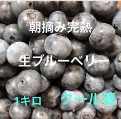 2025年最新】無農薬ブルーベリーの人気アイテム - メルカリ
