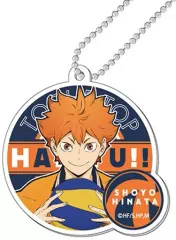 【中古】雑貨 日向翔陽 「ハイキュー!! TO THE TOP チャームプレート」