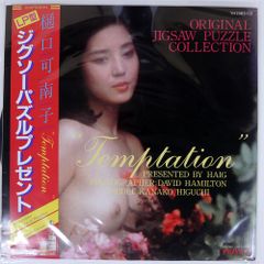国内盤 樋口可南子/TEMPTATION LP型ジグソーパズル/サントリー YH198303 その他