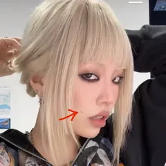 チークにもマグピ。銀