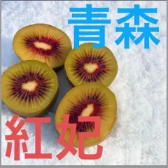 2025年最新】キウイフルーツ 紅妃の人気アイテム - メルカリ