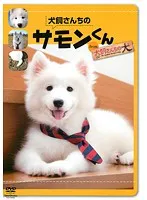(未使用･未開封品)　星守る犬 [DVD] 7z28pnb Amazon.co.jp: 星守る犬 [DVD] : 西田敏行, 玉山鉄二, 岸本