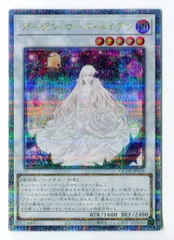 2025年最新】ガーデン・ローズ・メイデン 25thの人気アイテム