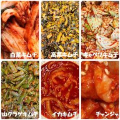 キムチ６点セット　白菜　高菜　キャベツ　山クラゲ　イカ　チャンジャ　本場韓国の味
