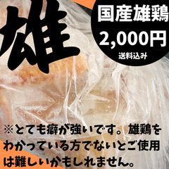 【プロ向け】国産雄鶏