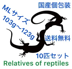 2025年最新】冷凍 ラットの人気アイテム - メルカリ