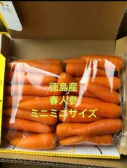 農家直送　ハウス春人参　ミニミニサイズのサムネイル