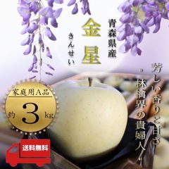 青森県産 ＂ 金星 (きんせい)＂ りんご【ご家庭用A品3kg】【送料無料】【産地直送】リンゴ 林檎