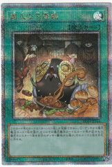 極光戦姫 コーナー・シトラス　FFR カードファイト!! ヴァンガード 極光戦姫 コーナー・シトラス