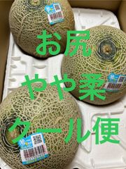 エルソルメロン 4Lサイズ 箱込4.6キロ程度 茨城県産