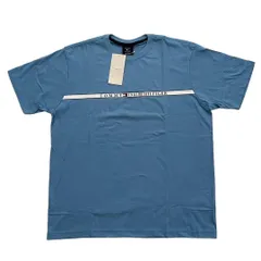 TOMMY HILFIGER トミーフィルフィガー ロゴ入り半袖Tシャツ 水色