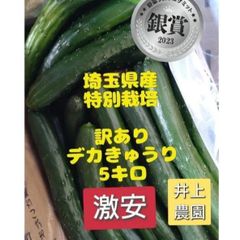 5キロ弱！リピーター続出！デカきゅうり！　産地直送　野菜ソムリエサミット銀賞受賞　農家直送　減農薬　有機肥料　ちょいデカきゅうり　訳あり