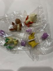 ポケモン　へんしんメタモン　ブイズ　イーブイ　リーフィア　ブースター　サンダース