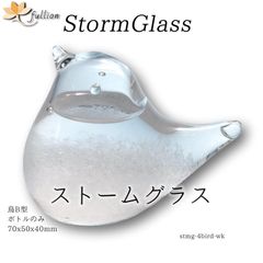 ストームグラス Aquro Crysta ボトルのみ 鳥B型 ボトルのみ Storm Glass ボトルのみ