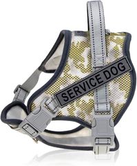 Item thumbnail for item 213fbe32-99f5-4692-bbf9-4ce49c4e1bea