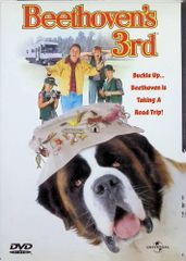 ブレインマン ぼくには数字が風景に見える [DVD] - メルカリ
