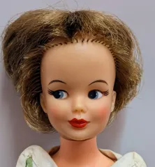 2025年最新】タミーちゃん 本の人気アイテム - メルカリ