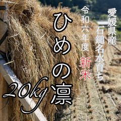 農薬化学肥料除草剤不使用  R6年度米愛媛県産ひめの凛　稲架掛け米  20kg