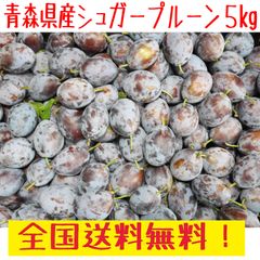 青森県産 生　シュガープルーン　訳あり　５kｇ　クール冷蔵送料無料