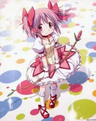 魔法少女まどか☆マギカ まどマギ キャンバスアート キャンバスアート 「Puella Magi Holy Quintet」