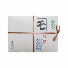 ポケモンセンター カナザワ 手鏡 螺鈿細工 ミロカロス 金沢 限定品
