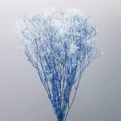 【新品・5営業日で発送】大地農園 プリザーブドフラワー ミニカスミ草・フラワーベール (22g入) #シロ／ブルー DO000015-016
