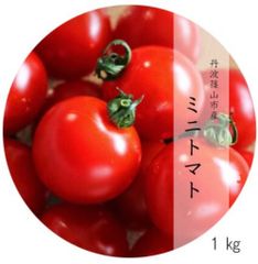 JAS認定　有機ミニトマト　1㎏