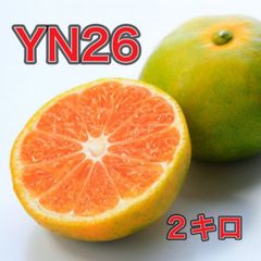 みかん2 ② Msize YN26 訳あり 和歌山みかん 10㎏ - メルカリ