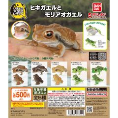 BANDAI いきもの大図鑑レプティ ヒキガエルとモリアオガエル